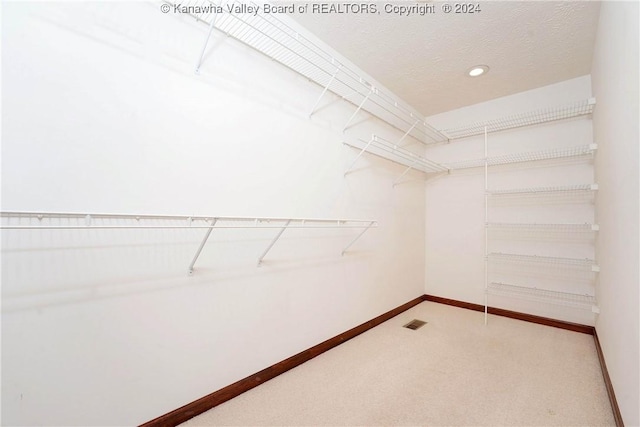 walk in closet featuring carpet