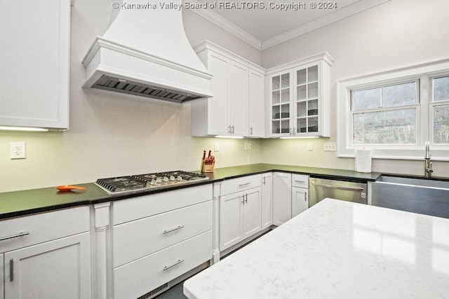 kitchen with white cabinetry, sink, stainless steel appliances, crown molding, and custom range hood