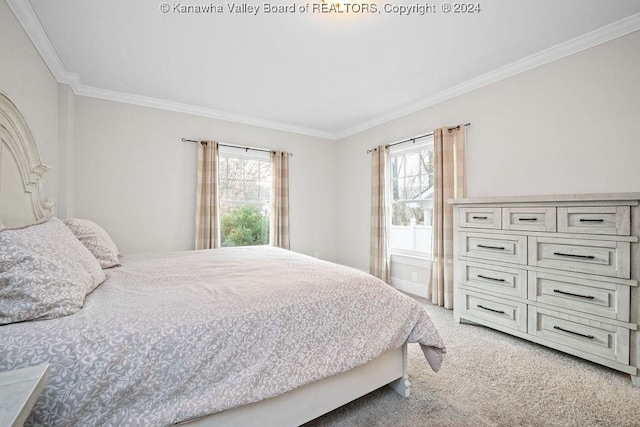 bedroom featuring carpet, ornamental molding, and multiple windows