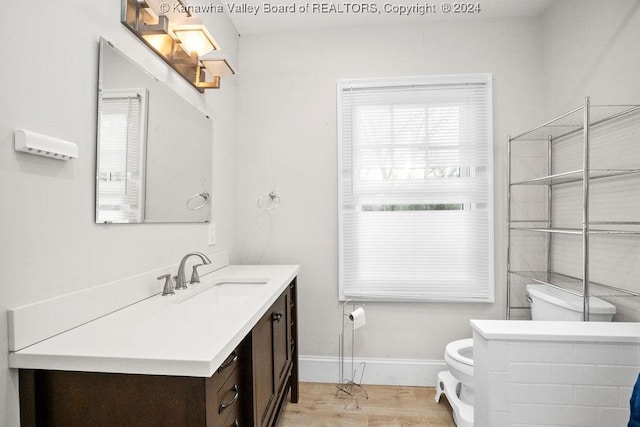 bathroom featuring vanity, toilet, and wood-type flooring