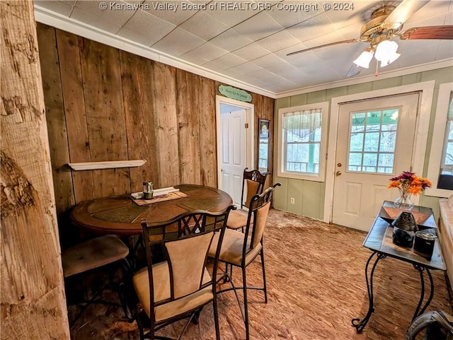 dining room with ceiling fan, ornamental molding, and wood walls