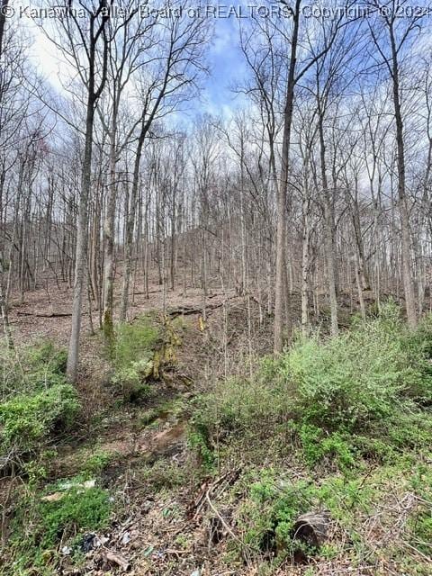 Listing photo 2 for 0 Camp Creek Rd, Julian WV 25529