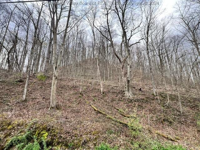 Listing photo 3 for 0 Camp Creek Rd, Julian WV 25529