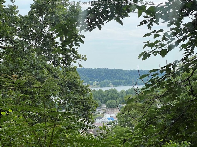 property view of mountains featuring a water view