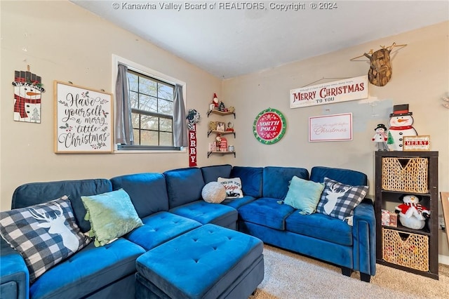 living room with carpet