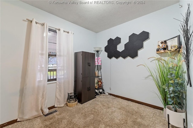 interior space with carpet flooring and a textured ceiling