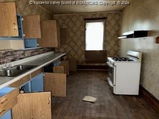 kitchen with dark hardwood / wood-style floors, sink, extractor fan, and gas range gas stove