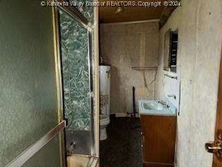 bathroom with vanity, toilet, and an enclosed shower