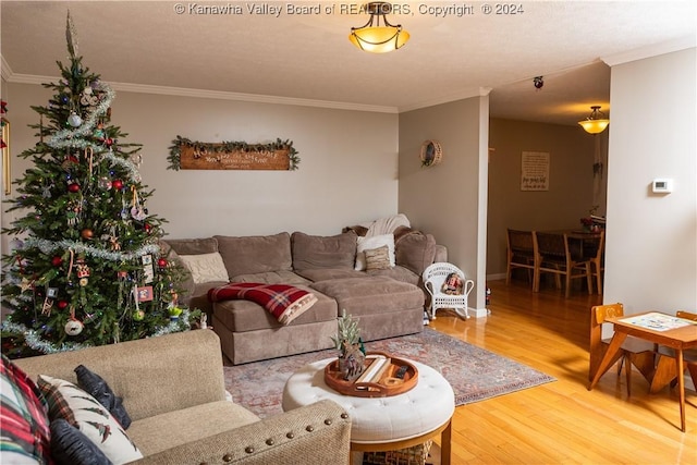 living room featuring hardwood / wood-style floors and ornamental molding