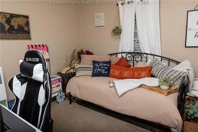 view of carpeted bedroom