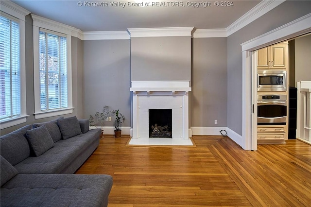 living area with baseboards, wood finished floors, ornamental molding, and a fireplace