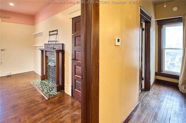 hallway with dark hardwood / wood-style flooring