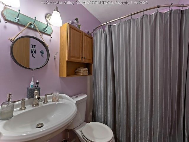 full bathroom with sink, shower / bathtub combination with curtain, and toilet