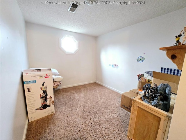 interior space featuring carpet floors and a textured ceiling