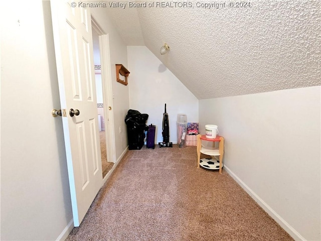 additional living space with carpet, lofted ceiling, and a textured ceiling