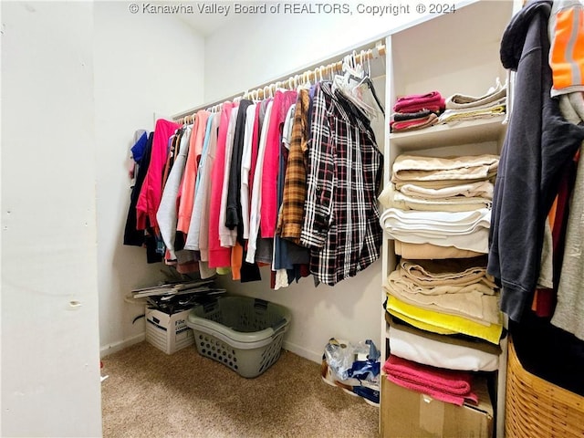 spacious closet with light colored carpet