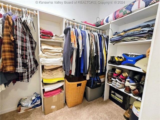 spacious closet featuring carpet