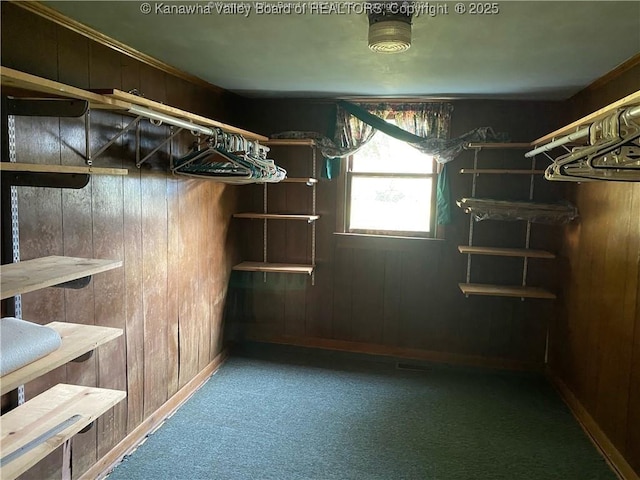 basement featuring wood walls and carpet