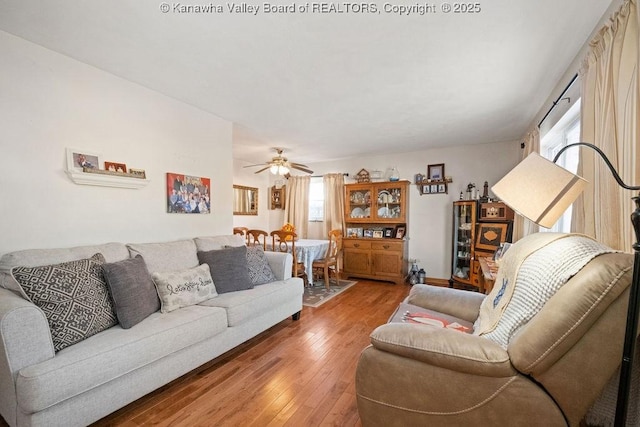 living room with ceiling fan and wood-type flooring