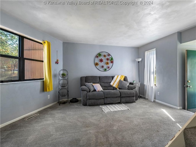 living room with carpet