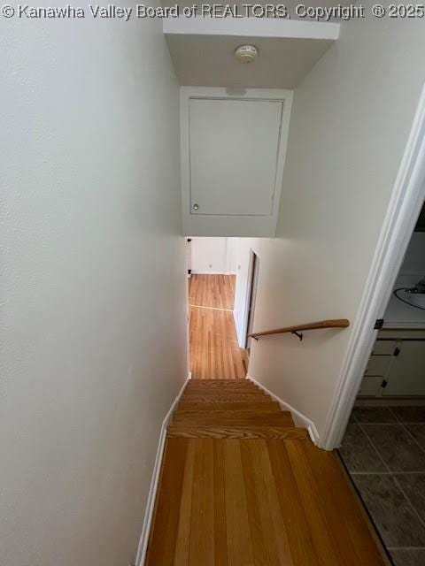 staircase featuring wood-type flooring