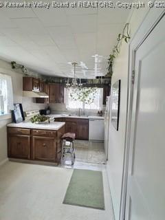 kitchen with dark brown cabinetry, dishwasher, and sink