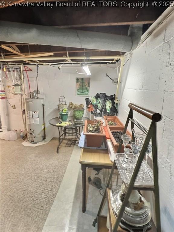 basement featuring gas water heater