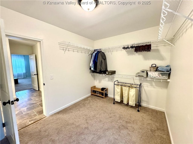 spacious closet featuring light colored carpet