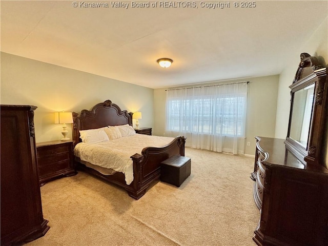 view of carpeted bedroom