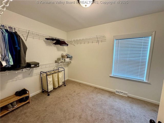 spacious closet with light carpet