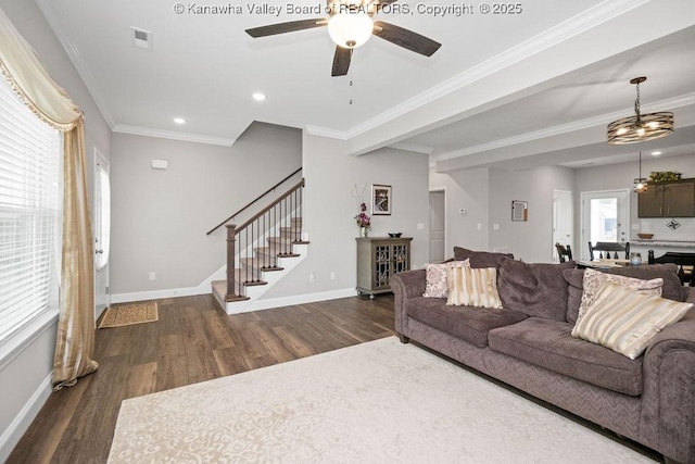 living room with dark hardwood / wood-style floors, ceiling fan, and ornamental molding