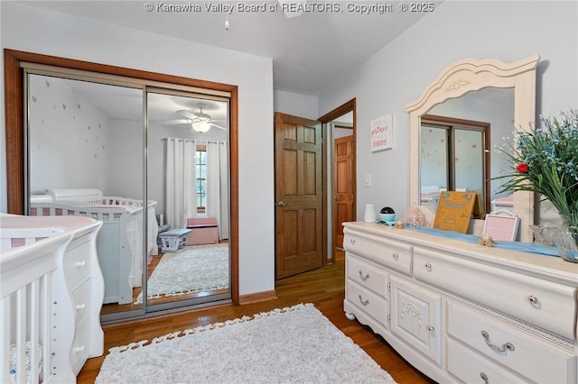 bedroom featuring dark wood-type flooring