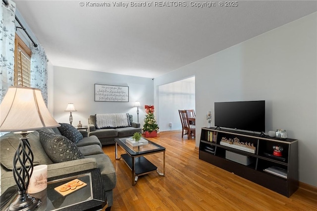 living room with wood-type flooring