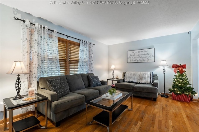 living room with hardwood / wood-style flooring