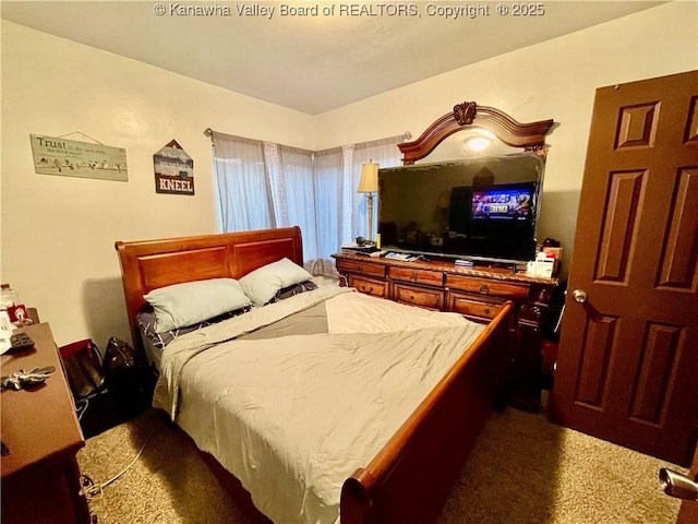 bedroom featuring carpet flooring