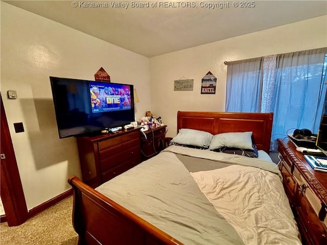 view of carpeted bedroom