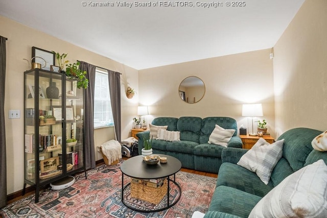 living room featuring hardwood / wood-style flooring