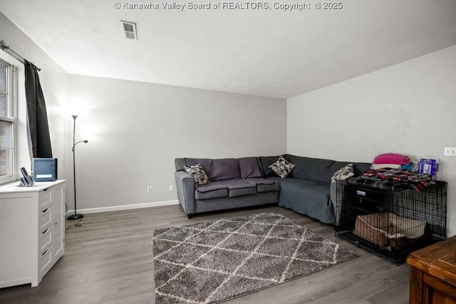 living room with wood-type flooring