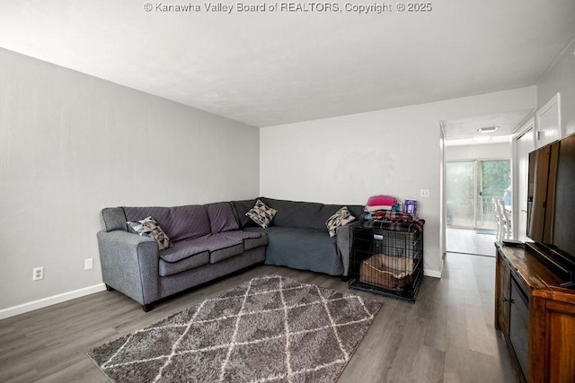 living room featuring dark hardwood / wood-style flooring