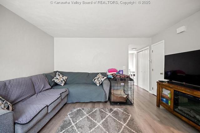 living room with hardwood / wood-style floors