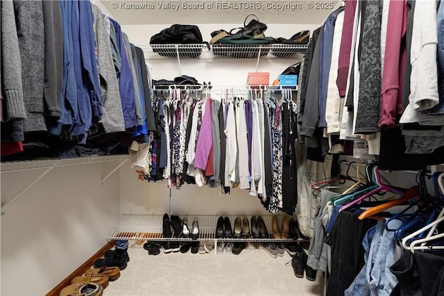 spacious closet featuring carpet flooring