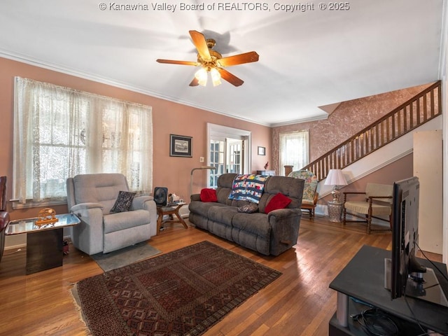 living room with hardwood / wood-style flooring, ceiling fan, and ornamental molding