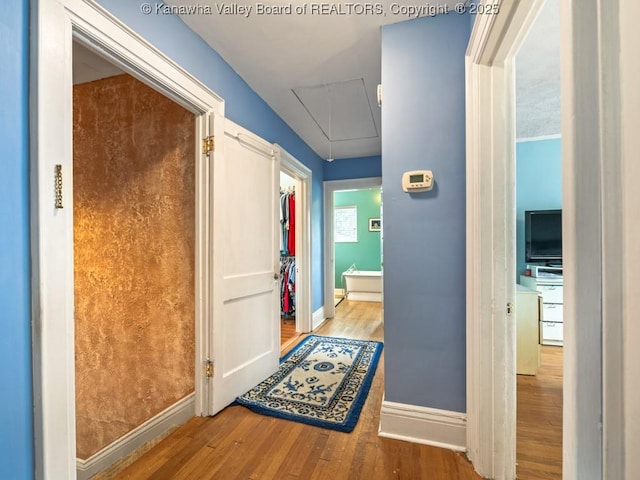 corridor with hardwood / wood-style floors