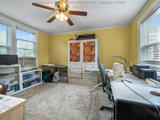 carpeted office featuring crown molding, a wealth of natural light, and cooling unit