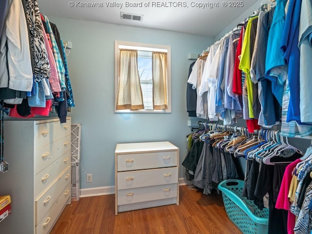 spacious closet with wood-type flooring