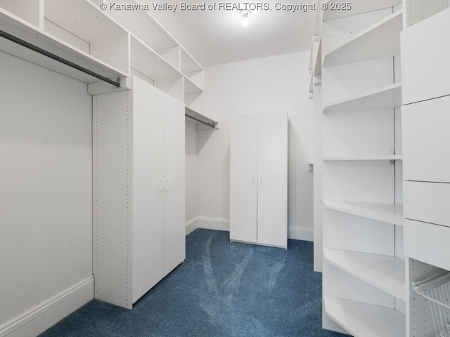 walk in closet with dark colored carpet