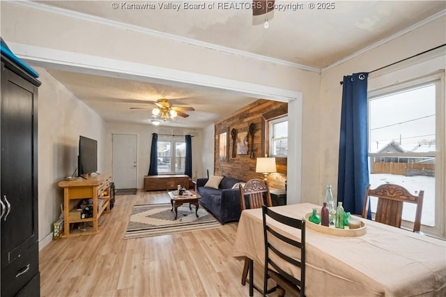 dining space with ceiling fan, crown molding, and light hardwood / wood-style flooring