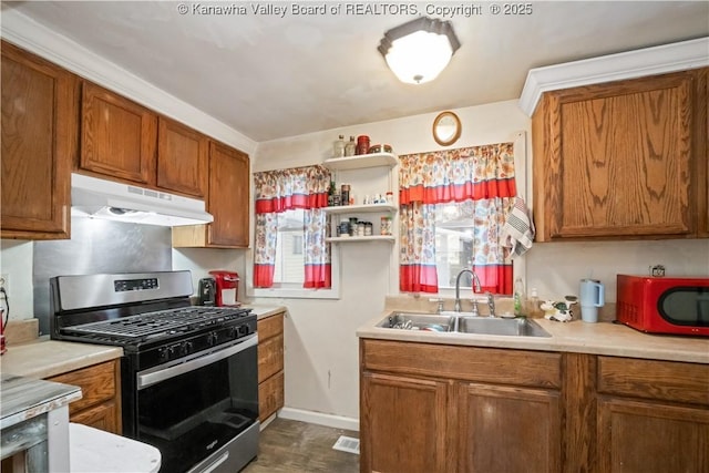 kitchen with plenty of natural light, stainless steel gas range oven, and sink