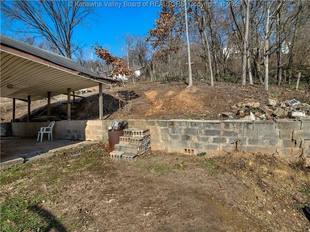 view of yard featuring a patio area