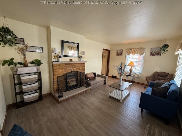 living room featuring a fireplace and dark wood-type flooring